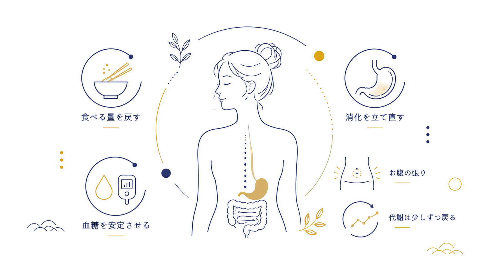 食べる量を戻す・血糖を安定させる・消化を立て直す・お腹の張り・代謝は少しずつ戻る、の全体図