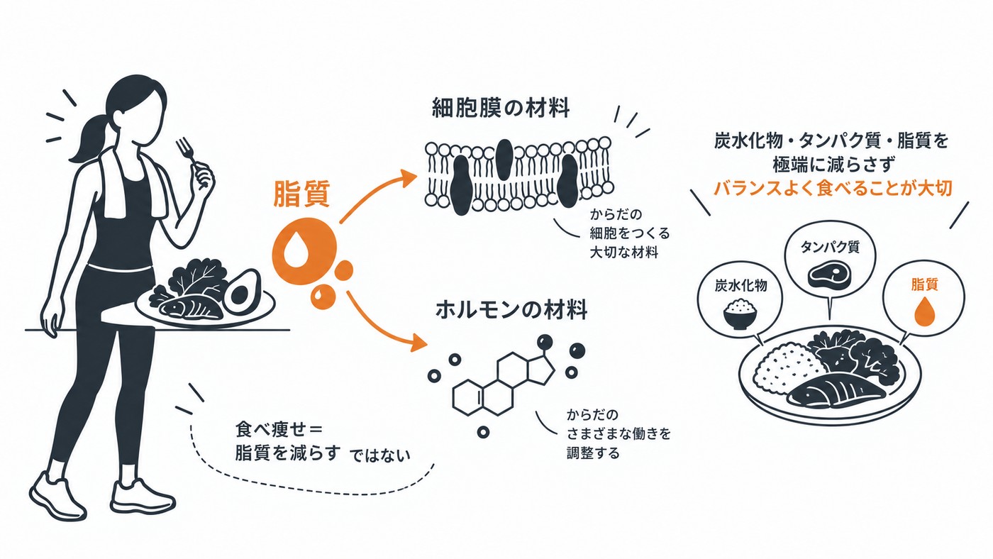 脂質は、材料でもある