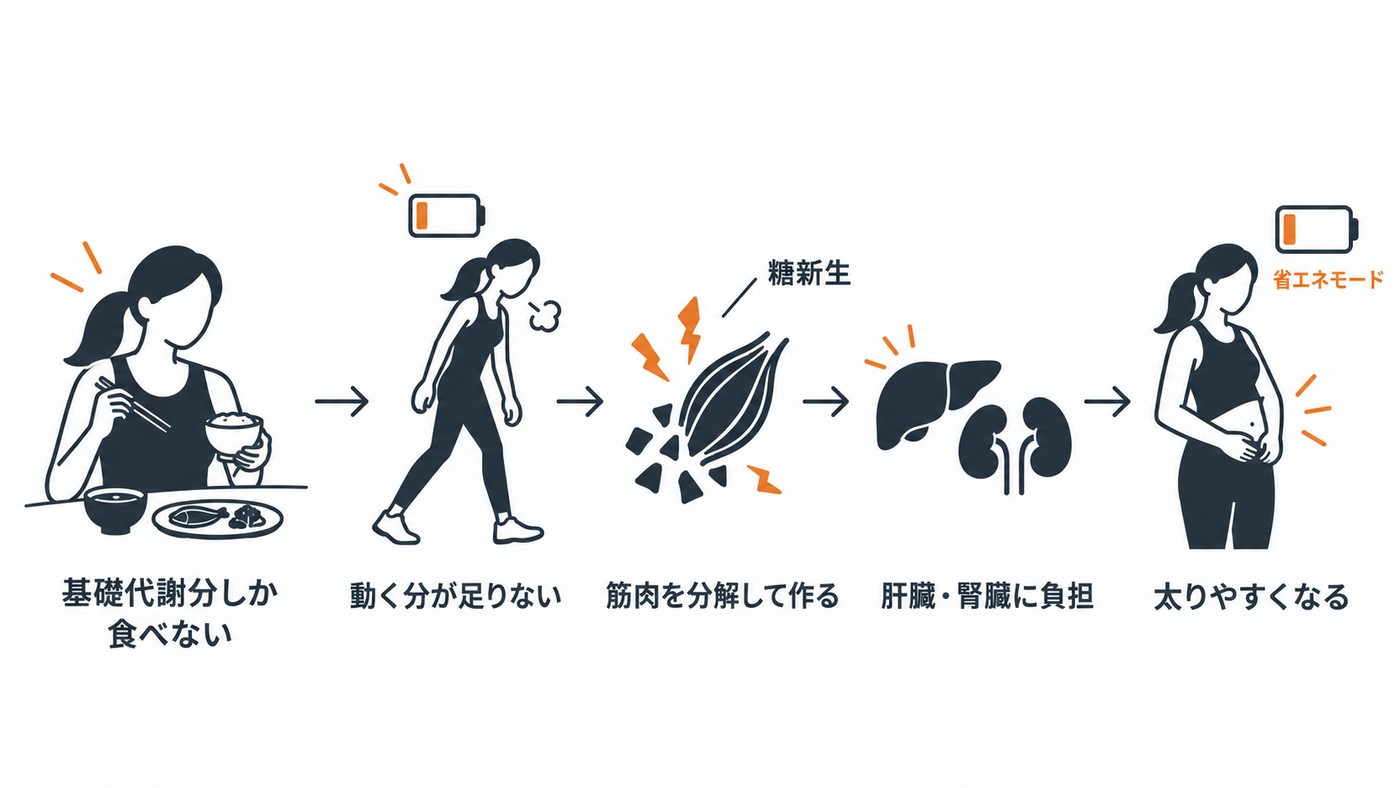 結論、基礎代謝だけで過ごすと太りやすくなる